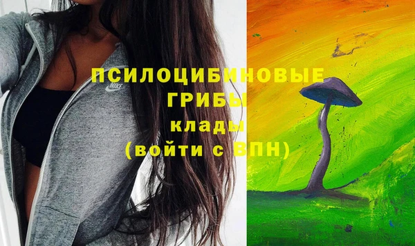 гидра Баксан