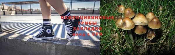 спиды Беломорск