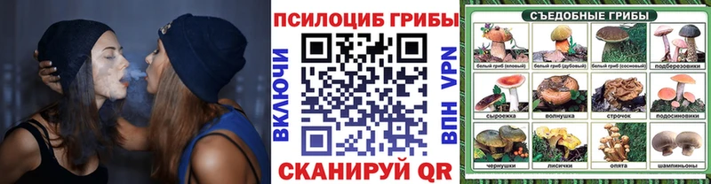 как найти наркотики  blacksprut ссылки  Псилоцибиновые грибы Magic Shrooms  Мурманск 